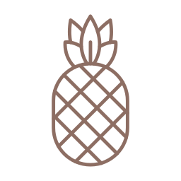 Pineapple icon