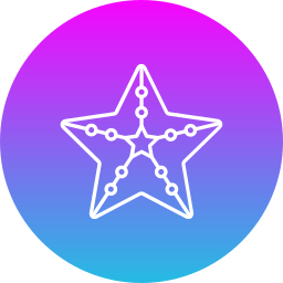 Starfish icon