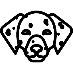 dalmata icona