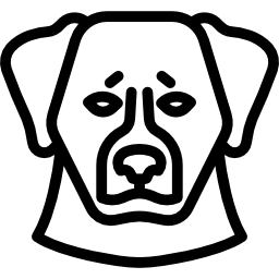 berner sennenhund icon