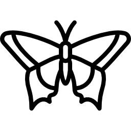 schmetterling icon