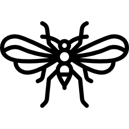 psocoptera icon