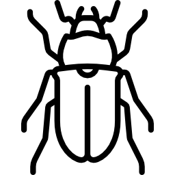 stag beetle Icône