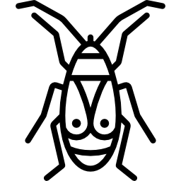 pyrrhocoridae icon