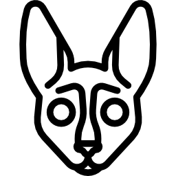 cornish rex cat icon