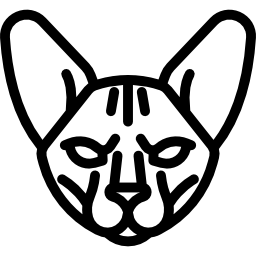 Sphynx Cat icon