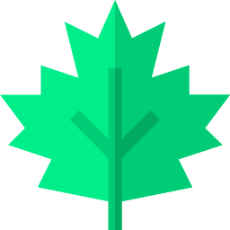 Leaf icon