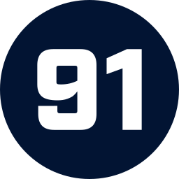 91 Ícone