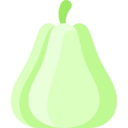 chayote icon