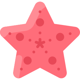 Starfish icon