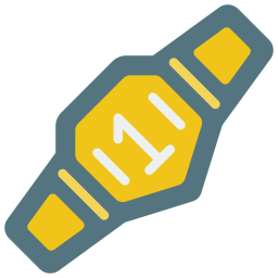 Belt icon