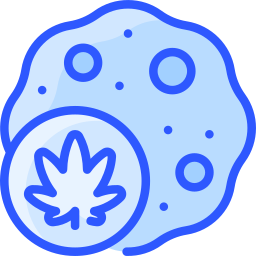 Cookie icon