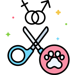 Spay icon