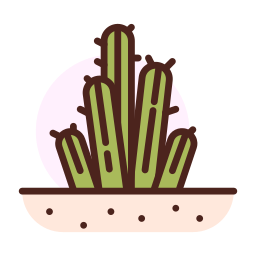 Cactus icon