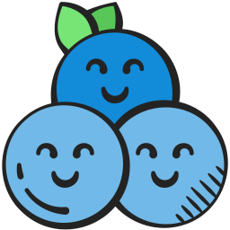 Blueberries icon