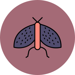 schmetterling icon