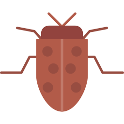 Insect icon