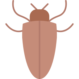 Cockroach icon