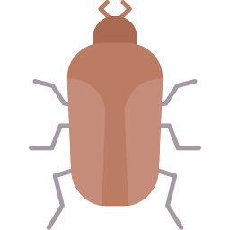 Insect icon