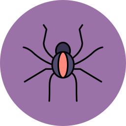 spinne icon