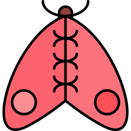 Butterfly icon