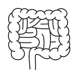 intestins Icône