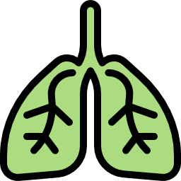 Lung icon