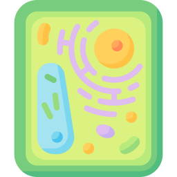 植物細胞 icon