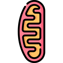 mitochondrien icon