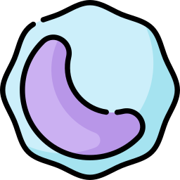 monozyten icon