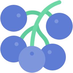 Blueberry icon