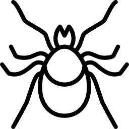 spinne icon