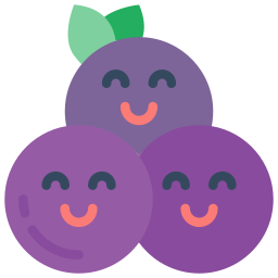 Blueberries icon