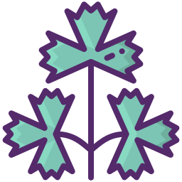 Parsley icon