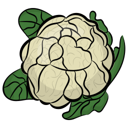 Cauliflower icon