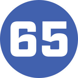 65 Ícone