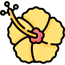 Hibiscus icon