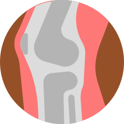 articulation Icône