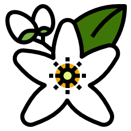 neroli icon