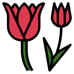 tulpe icon