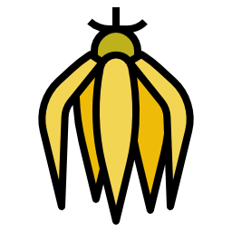 ylang-ylang icon