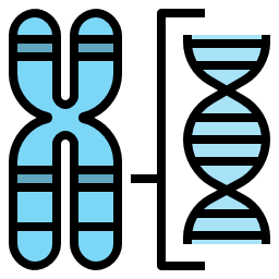 Chromosome icon