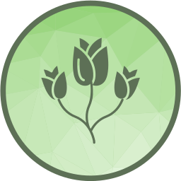 tulpe icon