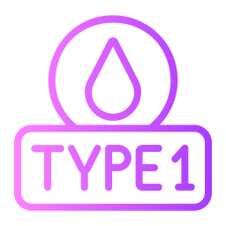 Type 1 icon