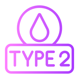 Type 2 icon