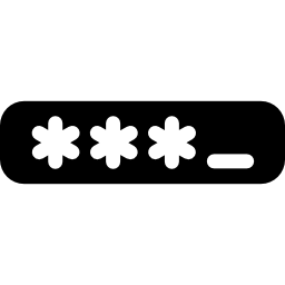 Password icon