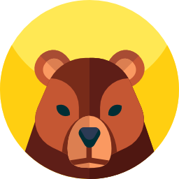 bär icon