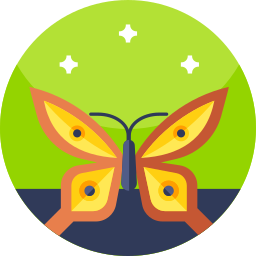 Butterfly icon