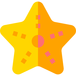 Starfish icon