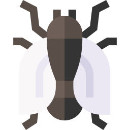 Fly icon